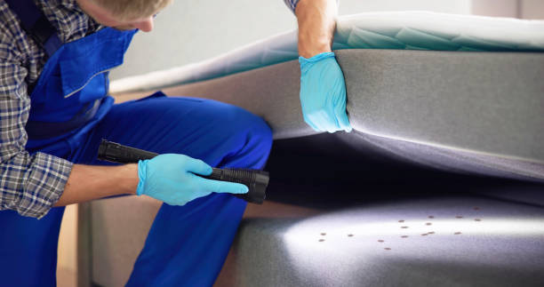 Best Cockroach Control Services  in Great Falls Crossing, VA