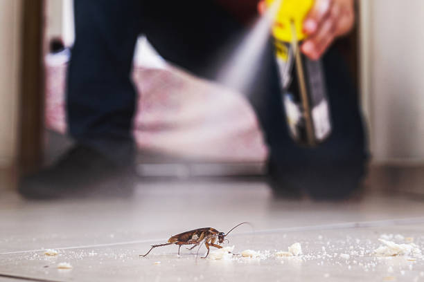 Reliable Great Falls Crossing, VA Pest Control Solutions