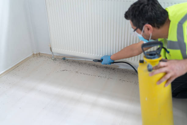 Best Pest Inspection Near Me  in Great Falls Crossing, VA